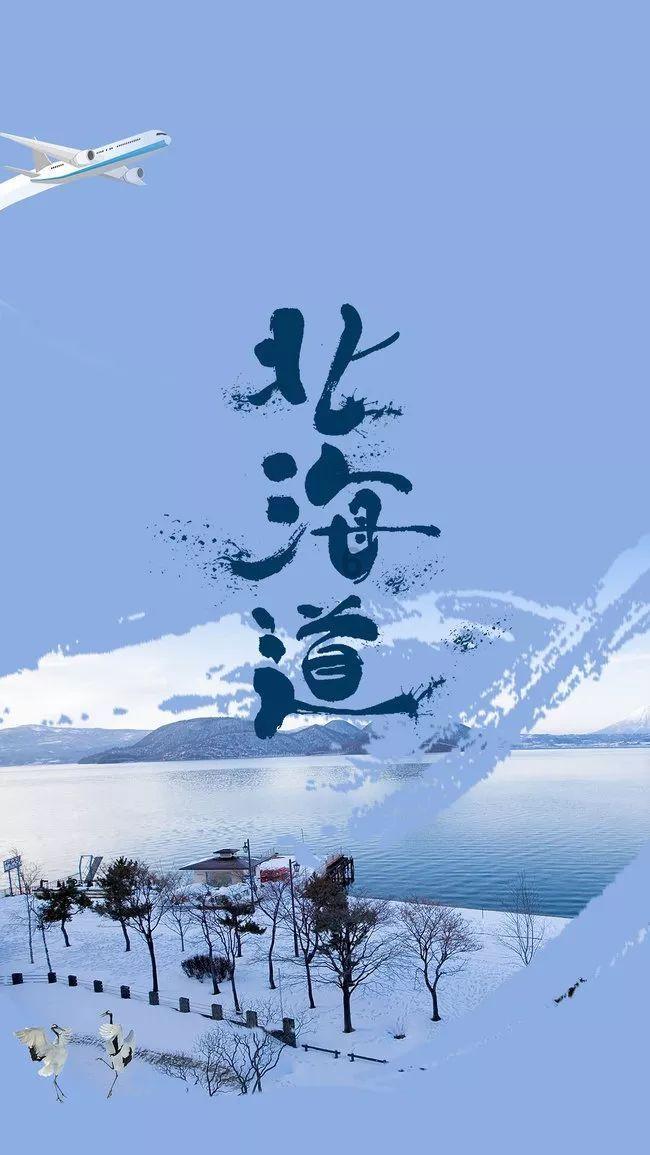 盐和避难所