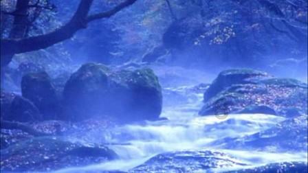 球球大作战下载最新版